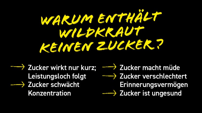 3er-Pack Wildkraut Energy Sniff – Menthol