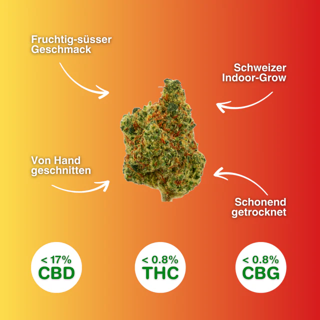 Green Passion - Fruit Punch Popcorn 10g - CBD Blüten Indoor