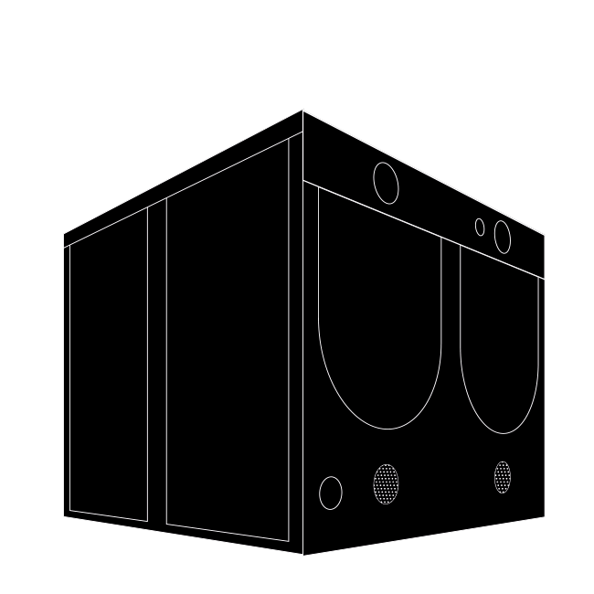 Homebox - Evolution Q240