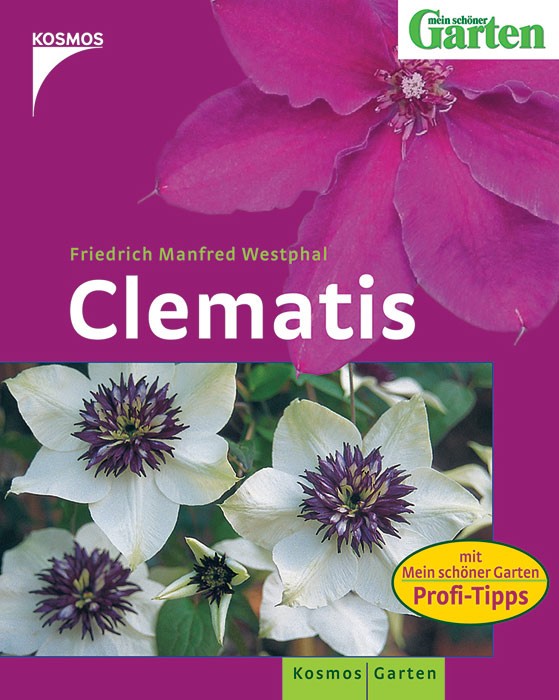 Clematis - 'Mein schöner Garten' Profi-Tipps