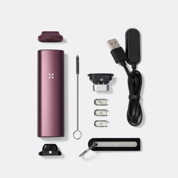 PAX Plus Complete Kit Elderberrry