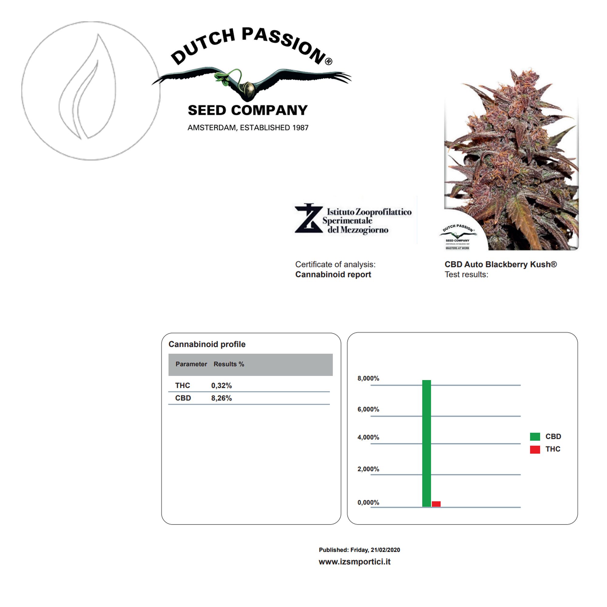 Dutch Passion Auto CBD Blackberry Kush 7 Seeds