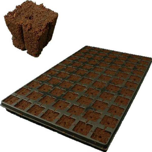 Eazy Plug Stecklings-Tray, 77Stk à 3.5 x 3.5cm