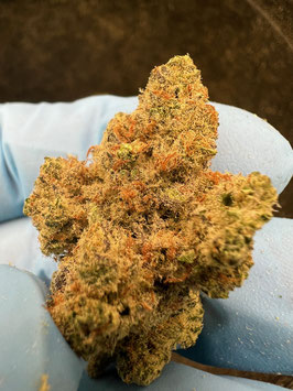 Cannabees - Orangeice (Indoor) 10gr