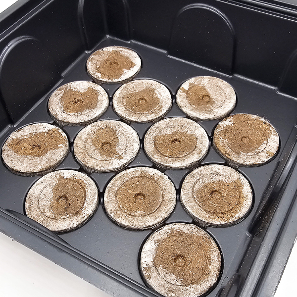 Plagron - Seedbox Complete Kit